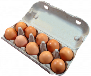 fractions set model example - carton of eggs