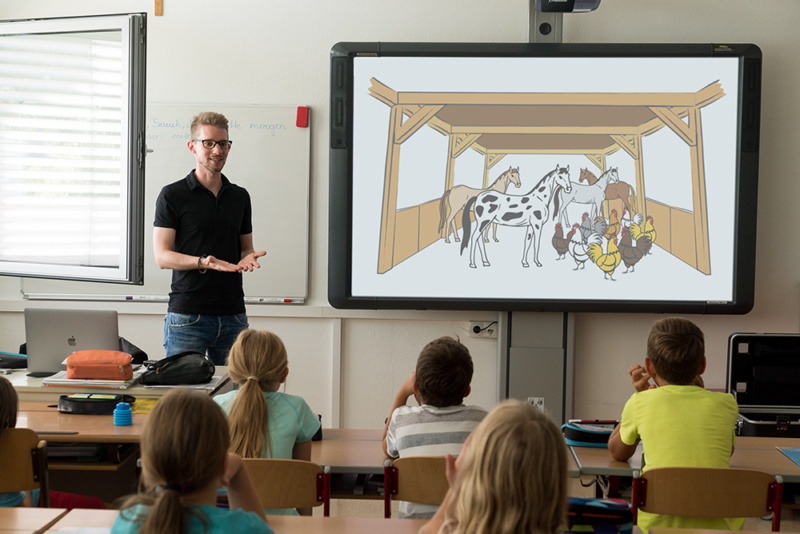 Teacher Mathematical Abilities