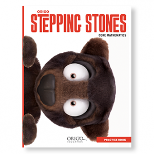 5th Grade Math Practice Book | Stepping Stones | Worksheets
